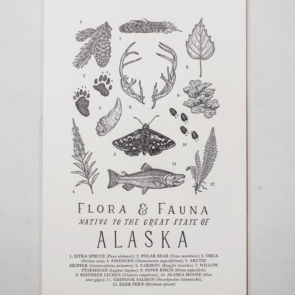 Alaska Field Guide, The Wild Wander Flora & Fauna of Alaska